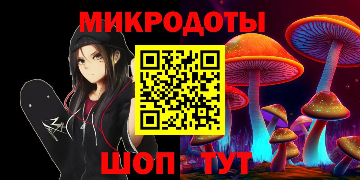 Псилоцибиновые грибы Psilocybine cubensis Пушкино