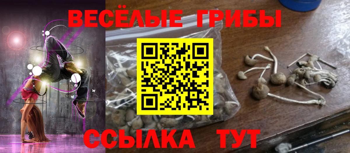 Псилоцибиновые грибы MAGIC MUSHROOMS  Вход с VPN  Пушкино 